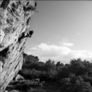 Grayscale landscape input